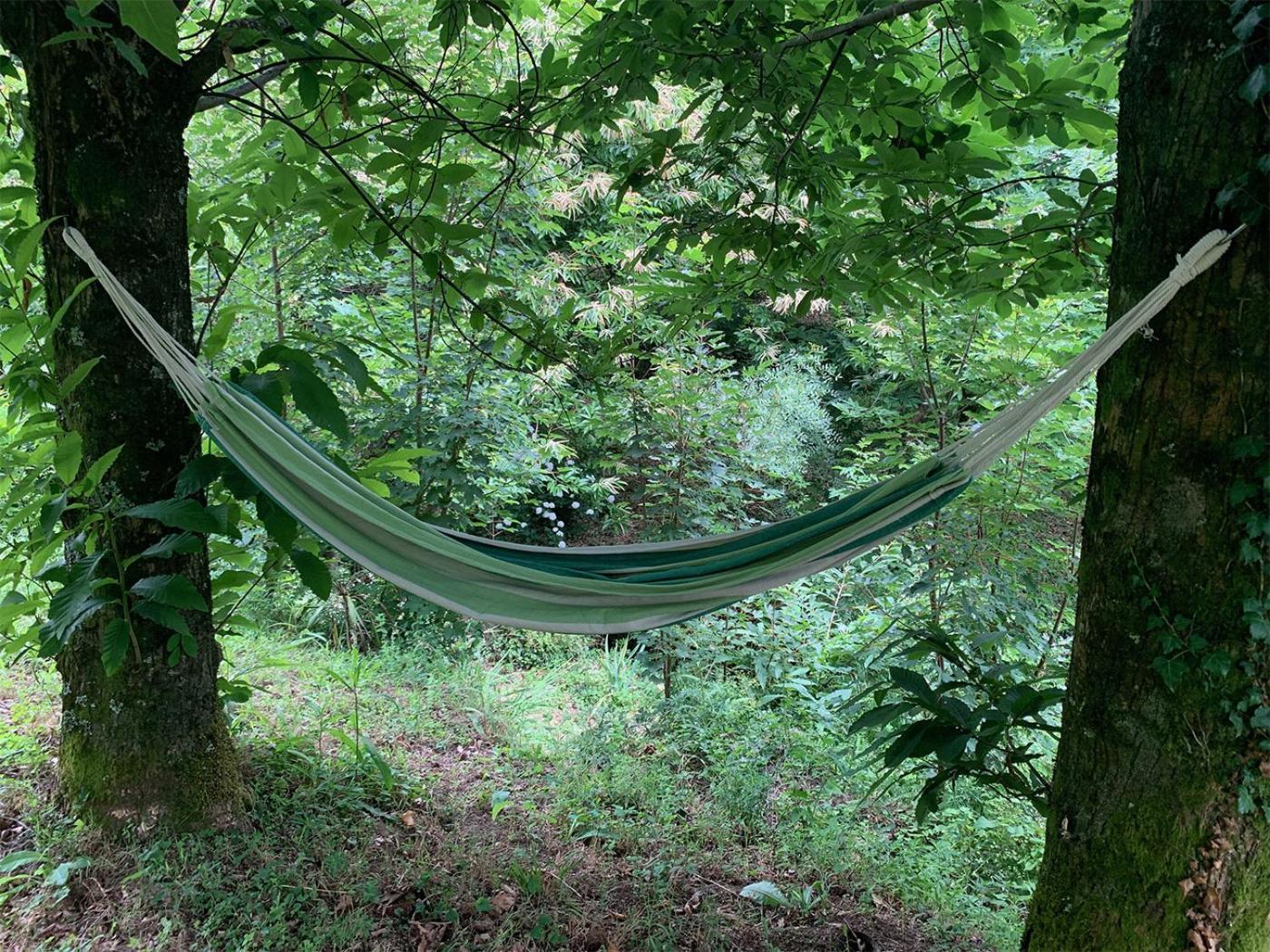 The Nest ~ Your Best Rest سيفر دو فوغا المظهر الخارجي الصورة